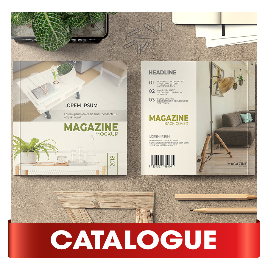 Thiết kế catalogue